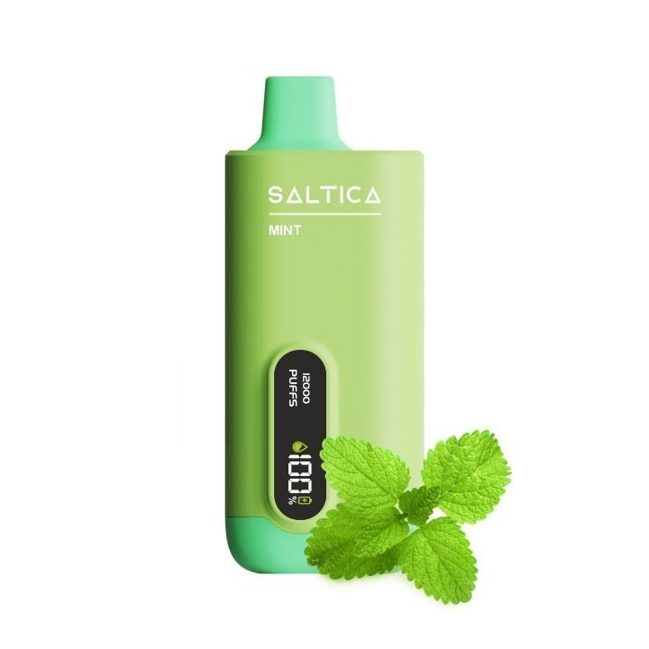 Saltica Digital 12000 Mint Kullan At: Yeşil, LED ekranlı elektronik sigara.