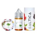 Saltica Mint Leaf Salt Likit | Saltica Saltica Likit
