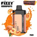Fizzy Luxury 15000 Puff Şeftali (Peach) Tek Kullanımlık Elektronik Sigara
