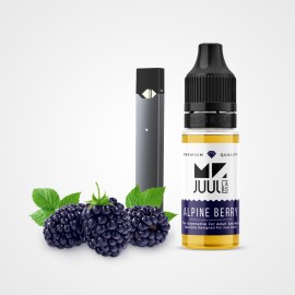 Mr. Juul Alpine Berry Salt Likit